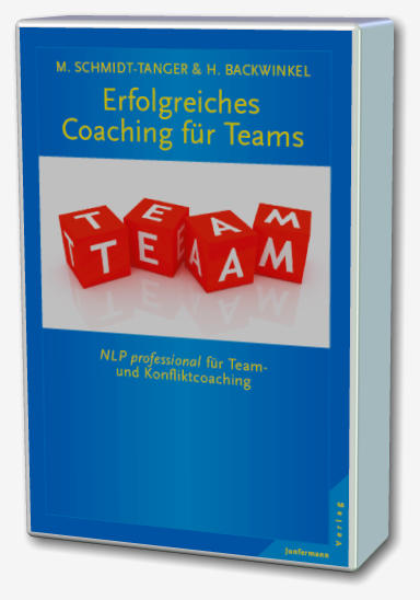 Teamcoaching Methoden